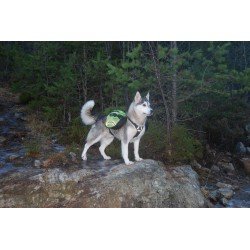 Truelove Excursion -koiranvaljaat - TLB2051