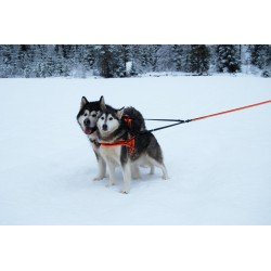 Truelove Share + 3-pistekoiran talutin - TLL2371