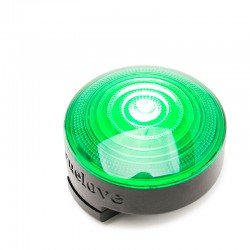 Truelove-koiran LED-valot...